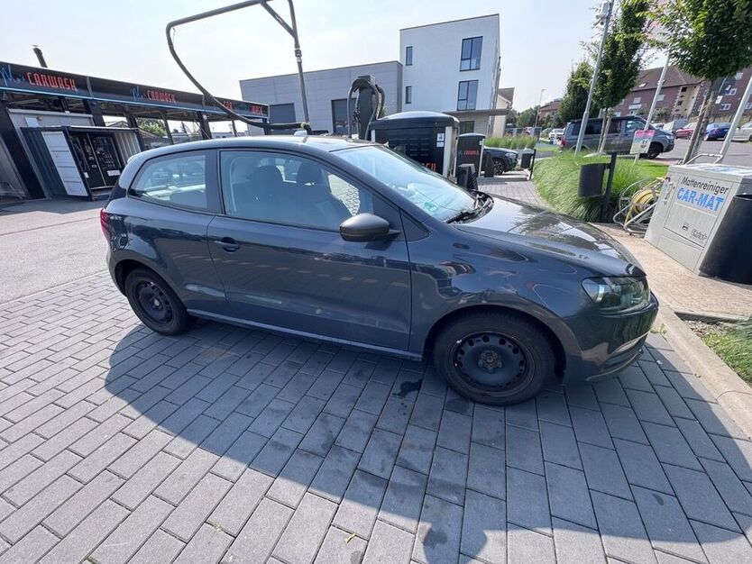 Polo