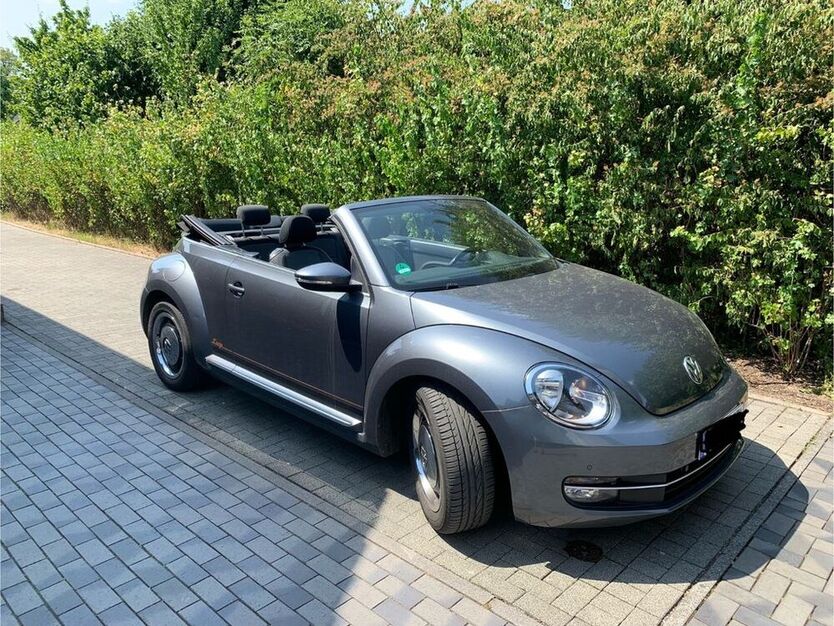 Beetle
