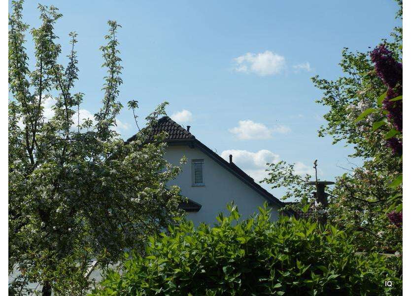 Haus zum Kaufen in Torgau 380.000 € 250 m²