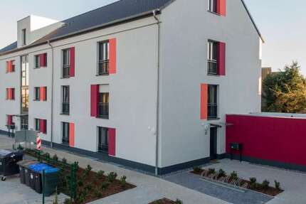 Wohnung Rhede - 2 Zimmer, 55 m&sup2;, 386&euro; | Angebot:25989155