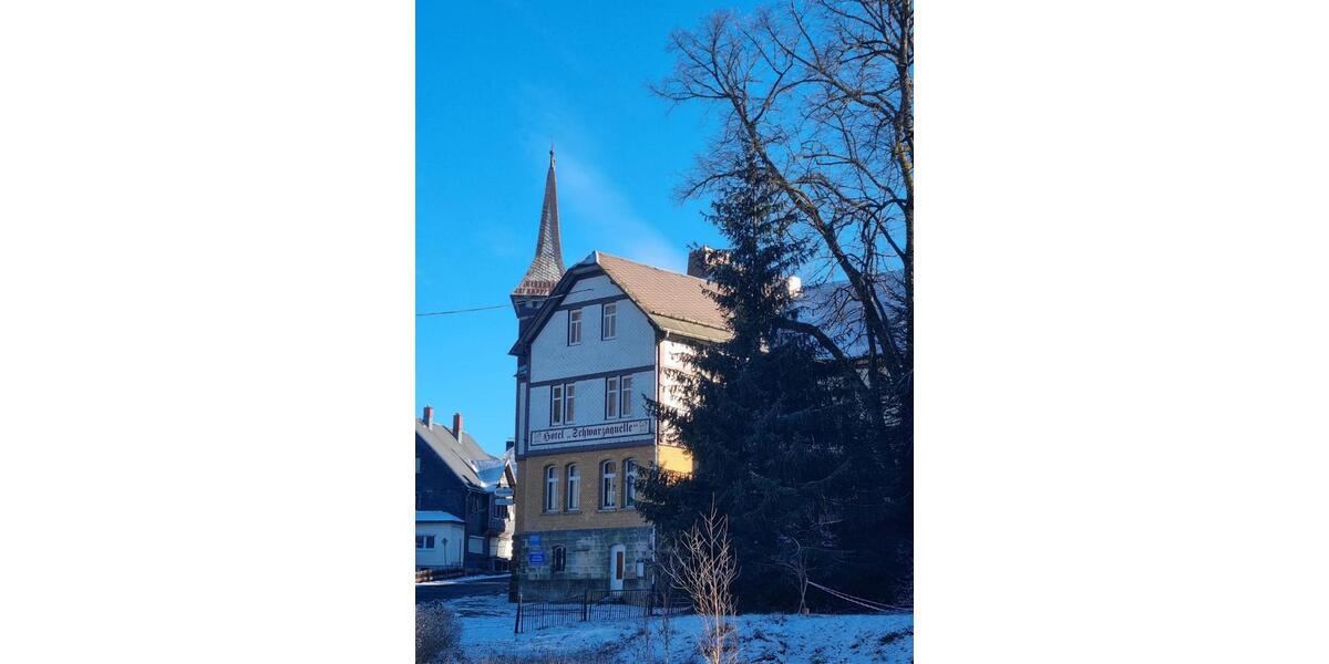 Villa Neuhaus am Rennweg - 23 Zimmer, 1.100 m&sup2;, 350.000&euro; | Angebot:25905362
