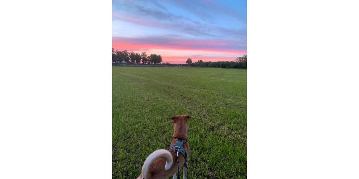 Einfamilienhaus Wedemark - 3 Zimmer, 68 m&sup2;, 1.000&euro; | Angebot:25261732