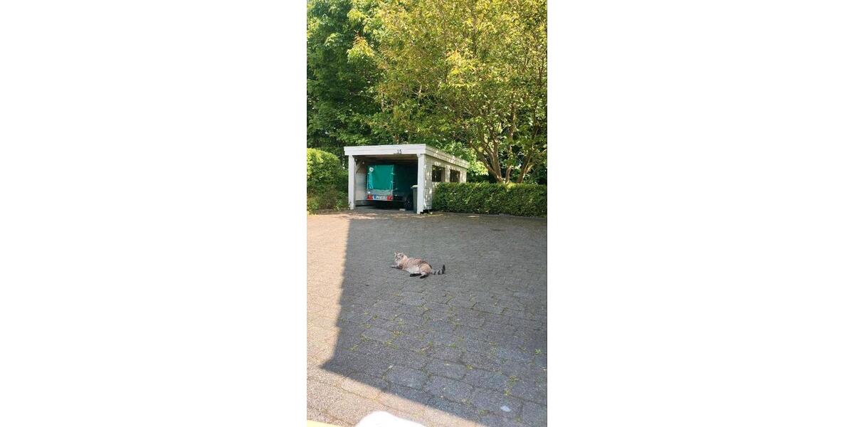 Einfamilienhaus Flensburg Falkenberg - 5 Zimmer, 155 m&sup2;, 530.000&euro; | Angebot:26850834