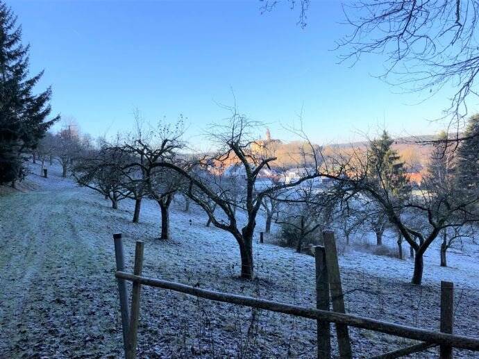 Grundstück Flachslanden Virnsberg - 98.000&euro; | Angebot:25663002