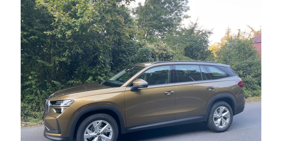 Skoda Kodiaq 12.000 km 48.990 &euro; Meißen 01662