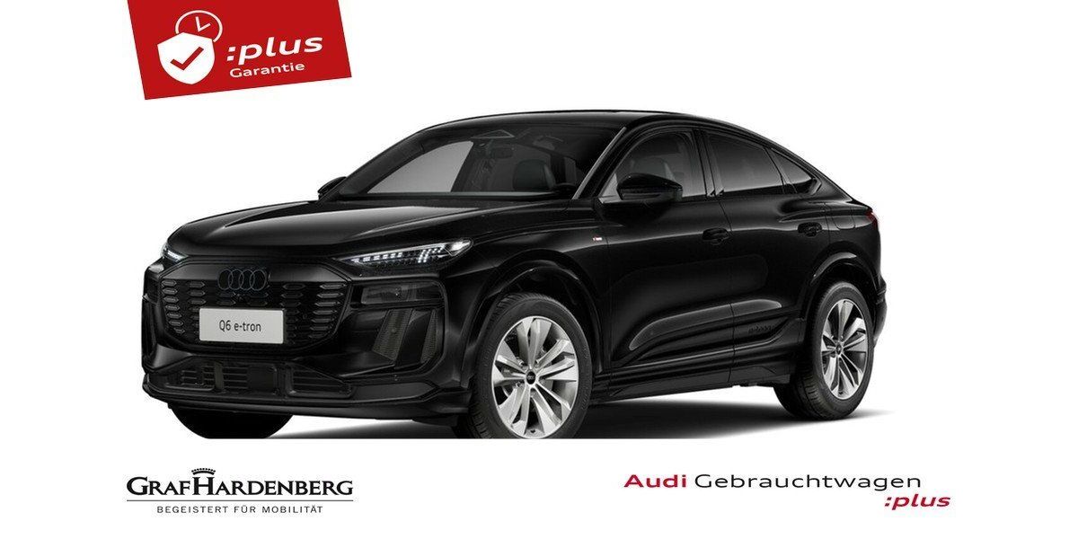Audi Q6 e-tron 17.100 km 64.930 &euro; Singen 78224