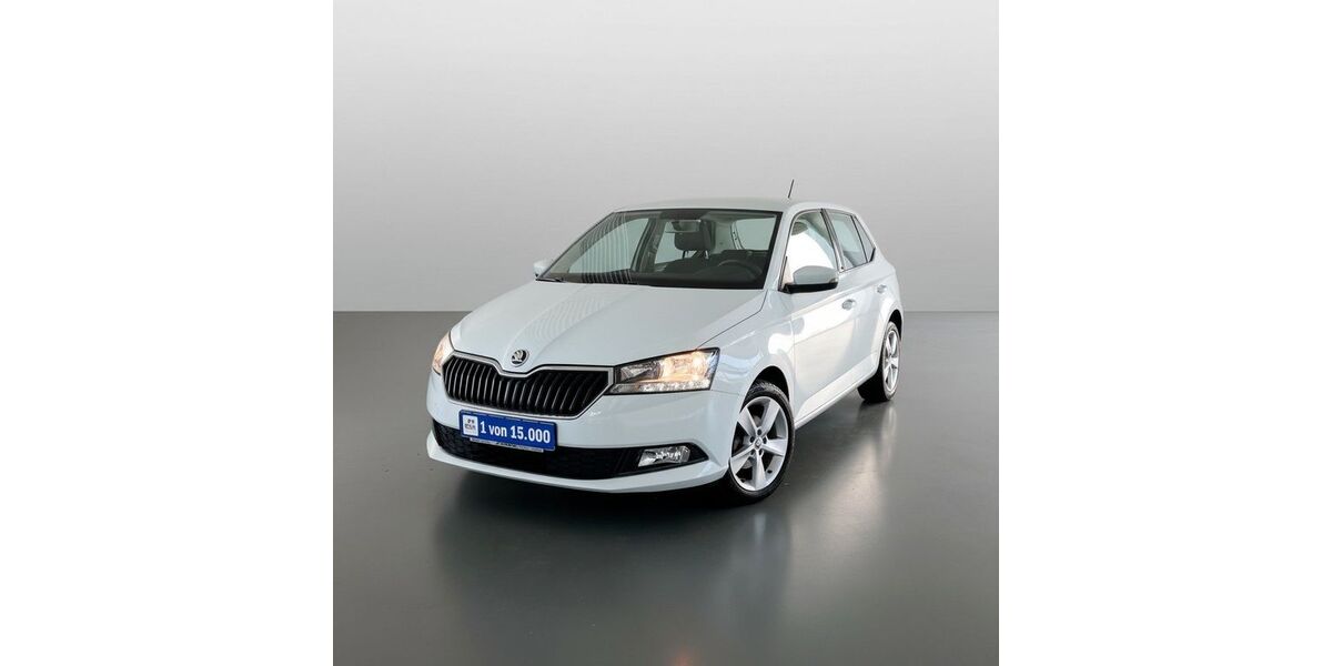 Skoda Fabia 51.280 km 11.500 &euro; Karlsruhe 76227