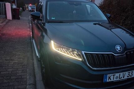 Skoda Kodiaq 227.000 km 17.800 &euro; Prichsenstadt 97357