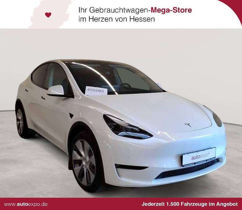 Model Y