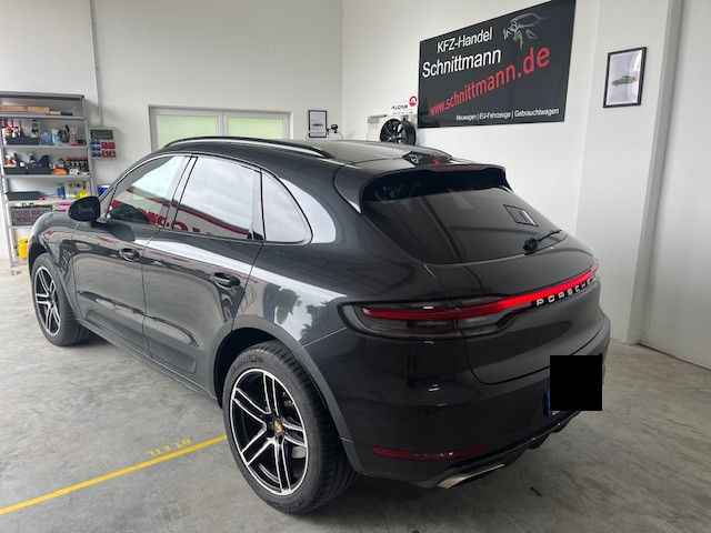 Macan