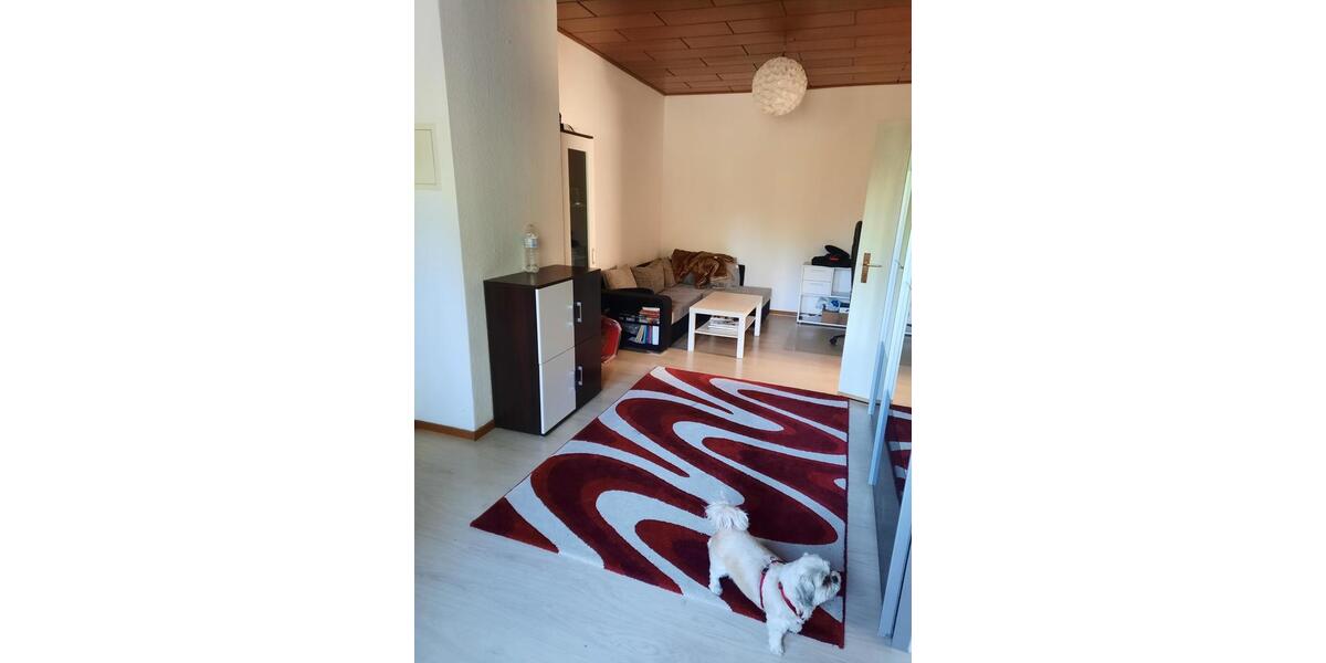 Mehrfamilienhaus, Wohnhaus Oebisfelde-Weferlingen Weferlingen - 11 Zimmer, 309 m&sup2;, 390.000&euro; | Angebot:24551565