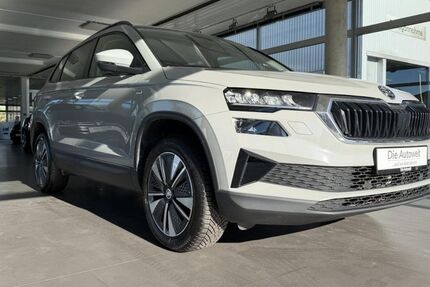 Skoda Karoq 124.300 km 20.980 &euro; Rheinfelden (Baden) (Rheinfelden) 79618