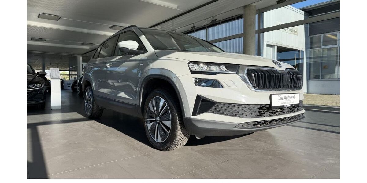 Skoda Karoq 124.300 km 21.980 &euro; Rheinfelden (Baden) (Rheinfelden) 79618