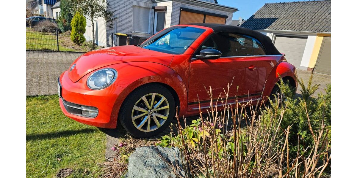 VW Beetle 53.260 km 15.900 &euro; Dortmund 44319