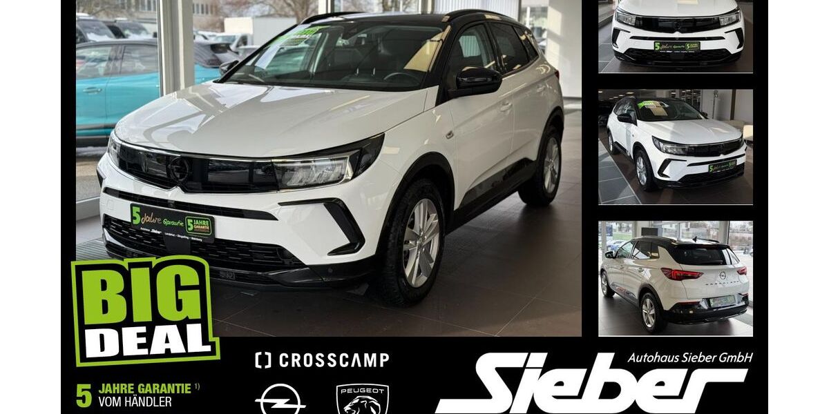 Opel Grandland (X) 23.630 km 18.990 &euro; Landshut 84034