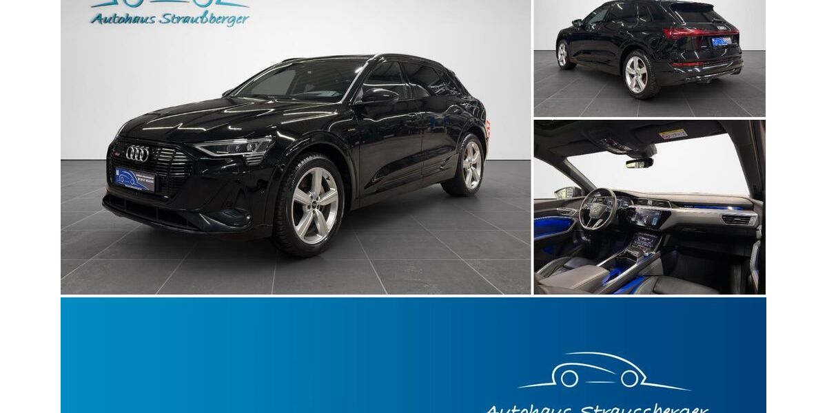 Audi e-tron 111.000 km 35.590 &euro; Buchschwabach bei Nürnberg 90574