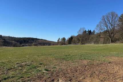 Grundstück Rabenau-Allertshausen Allertshausen - 150.544&euro; | Angebot:24820699