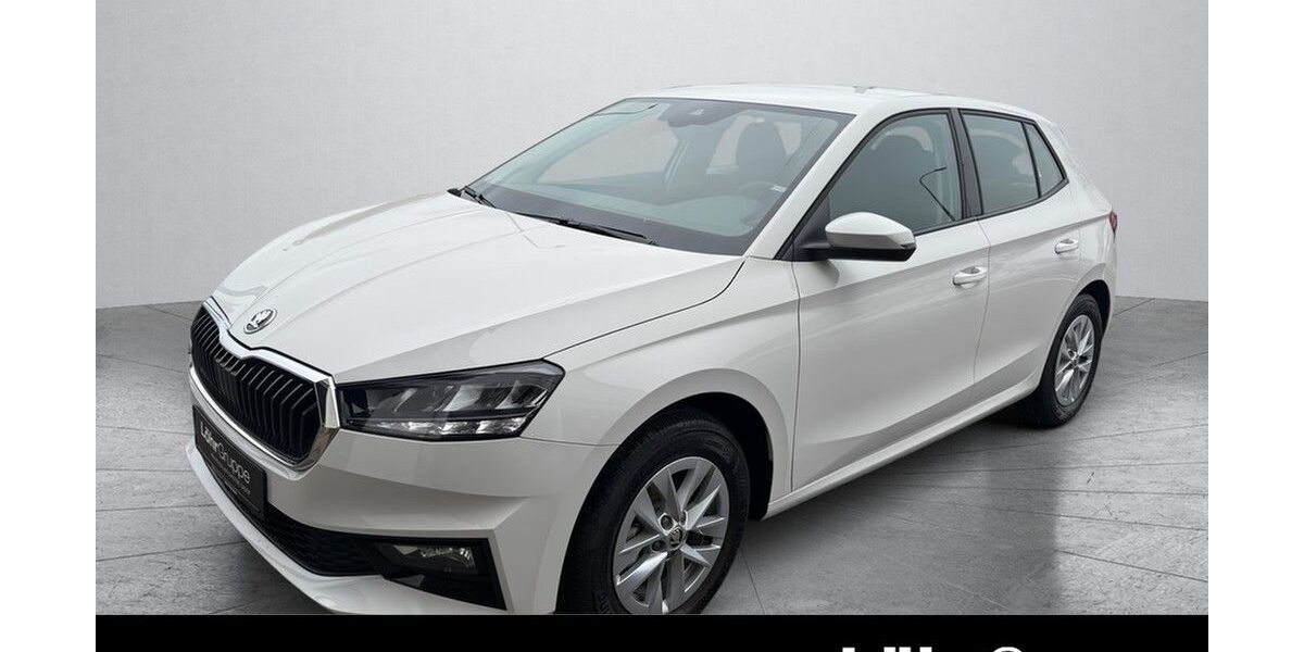 Skoda Fabia 18.906 km 15.990 &euro; Daun 54550