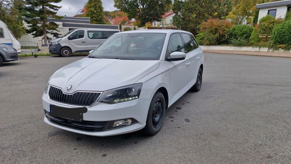 Skoda Fabia 109.934 km 8.700 € Springe 31832
