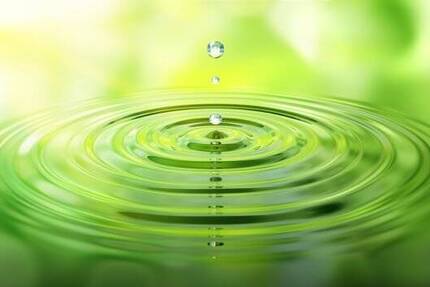 Gewerbeobjekt Loßburg Wittendorf - 3 Zimmer, 2.650.000&euro; | Angebot:25665359