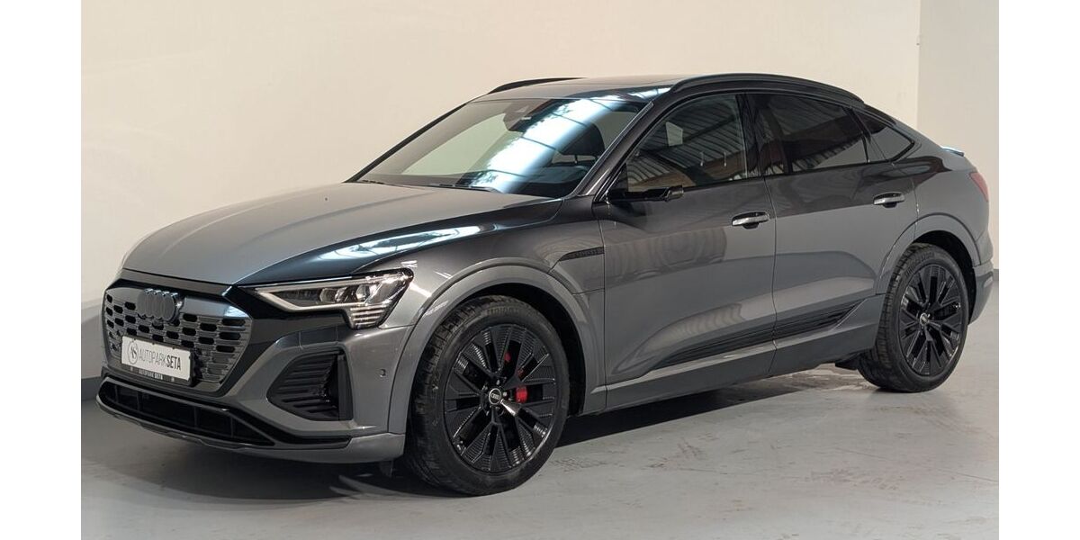 Audi Q8 e-tron 55.000 km 54.975 &euro; Ellerhoop bei Hamburg 25373