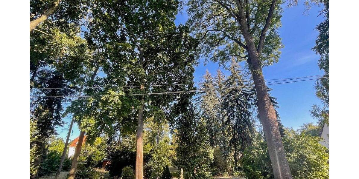 Grundstück Brandis Waldsteinberg - 495.000&euro; | Angebot:22250301