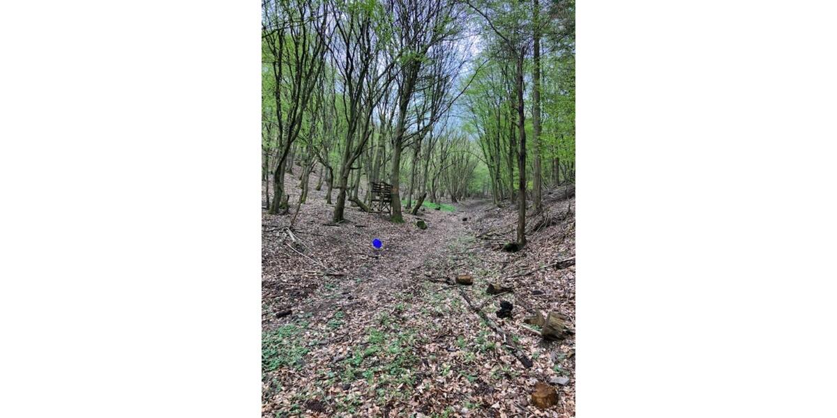 Grundstück Bruttig-Fankel Fankel - 5.950&euro; | Angebot:17639442