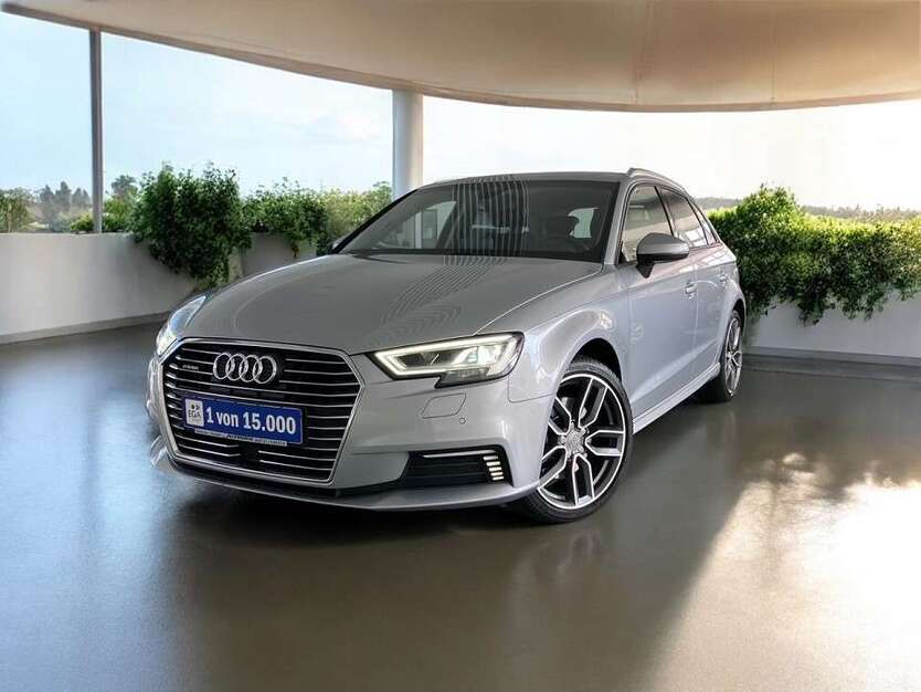 A3