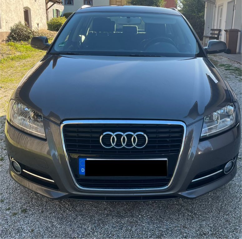 A3