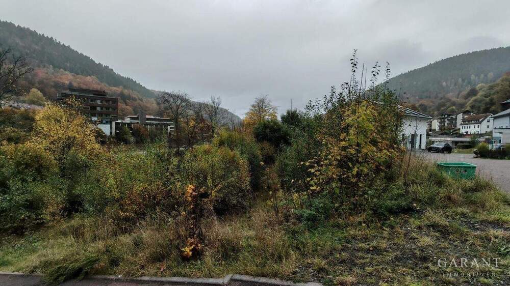 Grundstück Bad Wildbad - 116.000&euro; | Angebot:24636768