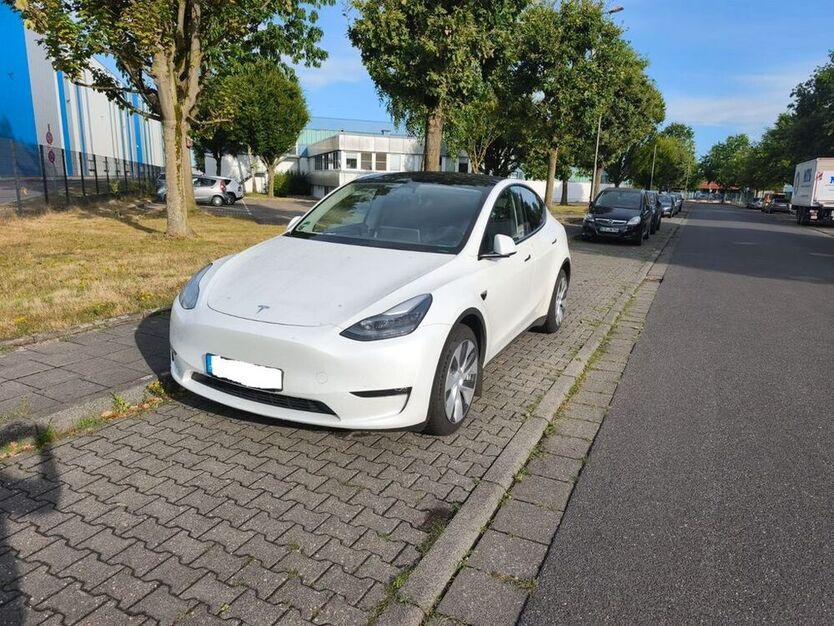 Model Y