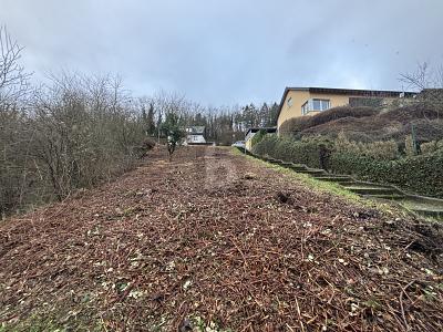 TOP LAGE + PREIS, 2 GRUNDSTÜCKE,EINZELVERKAUF - Grundstück Lieser | Angebot:26008044