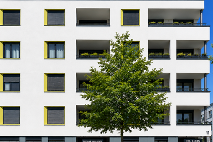 Wohnung Freiburg Brühl - 4 Zimmer, 125 m&sup2;, 1.050.000&euro; | Angebot:26864868