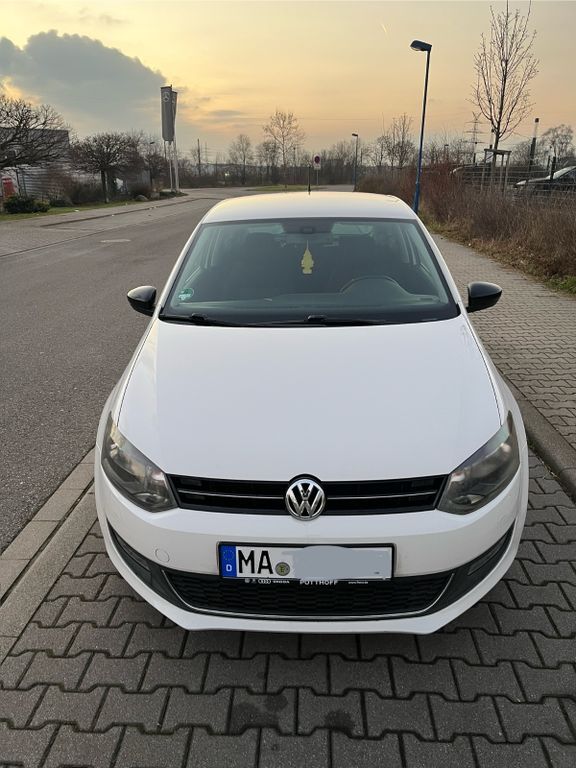 Polo