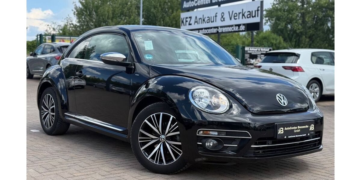 VW Beetle 77.300 km 13.750 &euro; Magdeburg 39118
