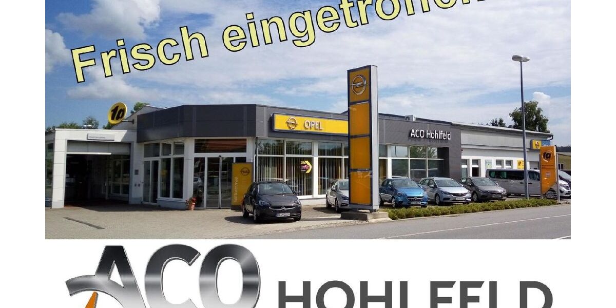 Opel Grandland (X) 92.468 km 18.770 &euro; Löbau 02708