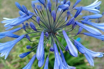 3 Zimmer Wohnung zimmer