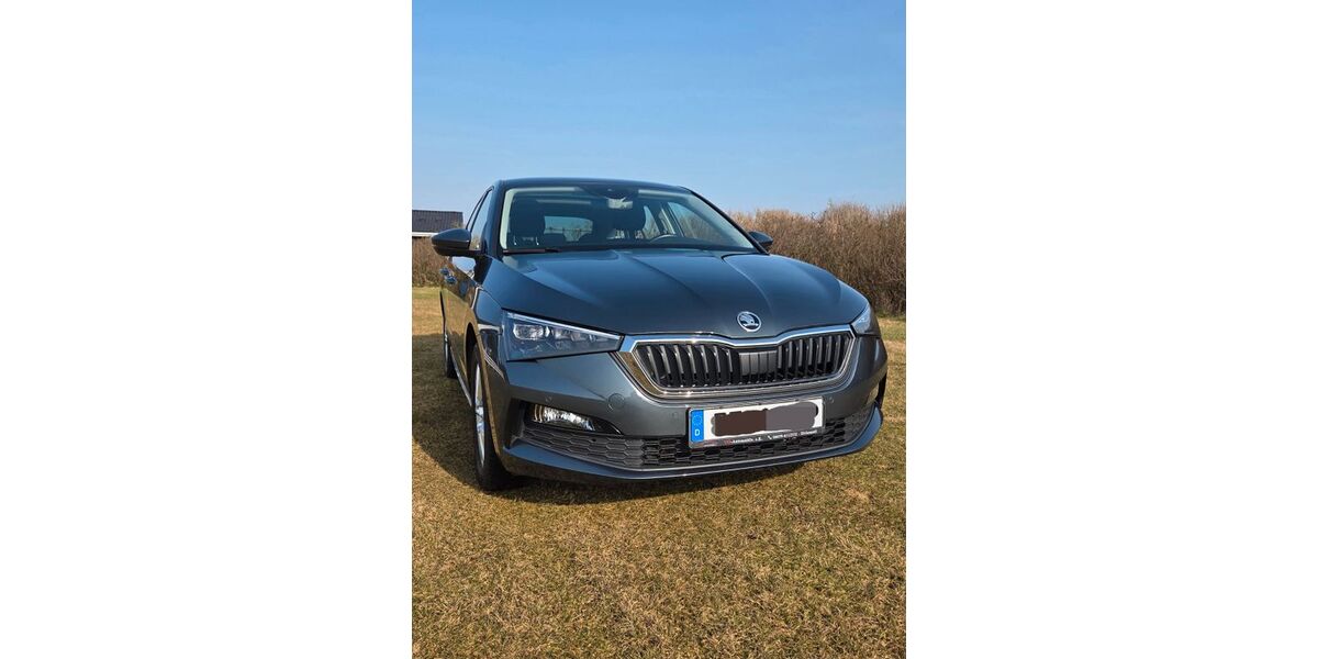 Skoda Scala 54.421 km 14.320 &euro; Sandesneben 23898