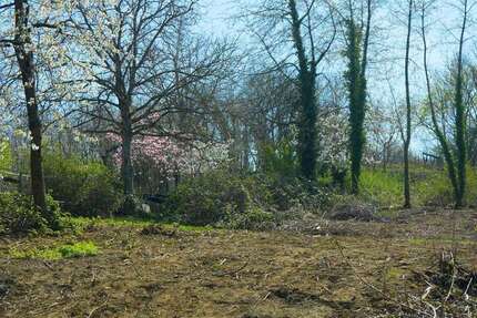 Grundstück zu verkaufen in Freiburg im Breisgau 798.000 € 496 m² zimmer