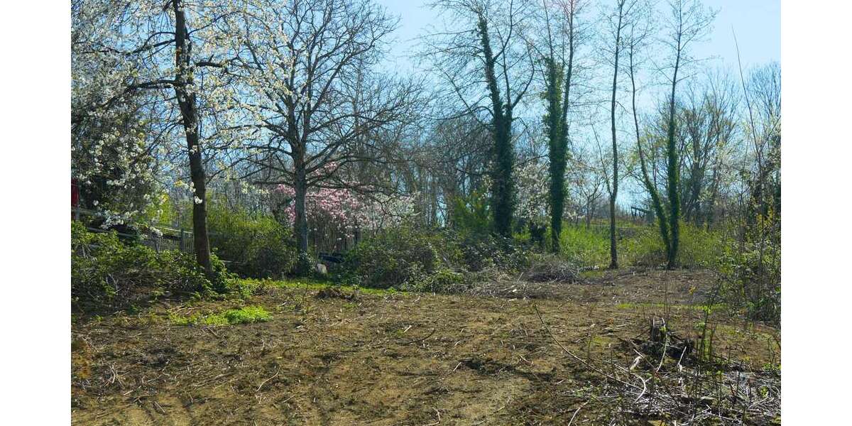 Grundstück zu verkaufen in Freiburg im Breisgau 798.000 € 496 m² zimmer