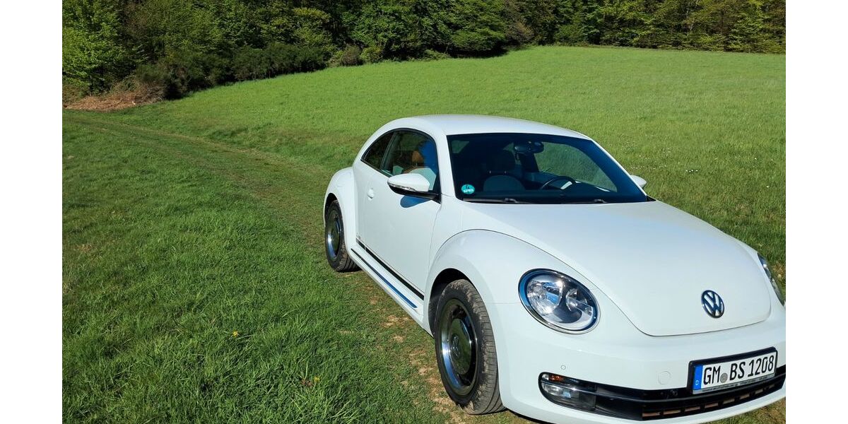 VW Beetle 146.500 km 8.500 &euro; Waldbröl 51545