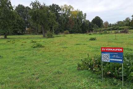 Grundstück Veelböken OT Passow Passow - 75.000&euro; | Angebot:22419533