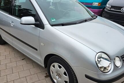 VW Polo 76.500 km 3.950 € Lachen-Speyerdorf 67435