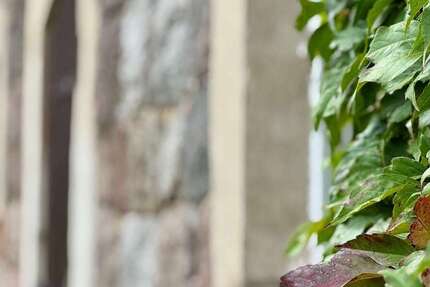 Haus zum Kaufen in Angermünde 245.000 € 130 m² 5 zimmer