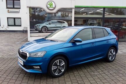 Skoda Fabia 1.001 km 21.950 &euro; Stepenitztal OT Mallentin 23936