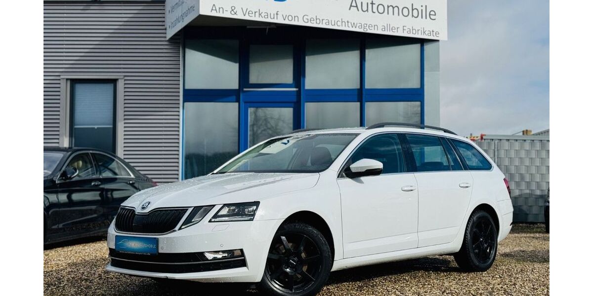 Skoda Octavia 166.249 km 11.790 &euro; Nottuln 48301