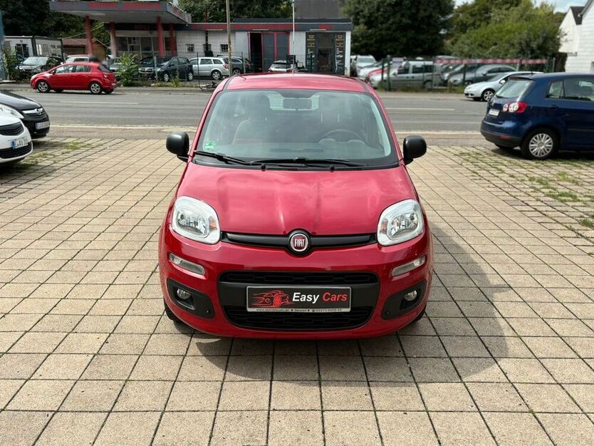 Panda