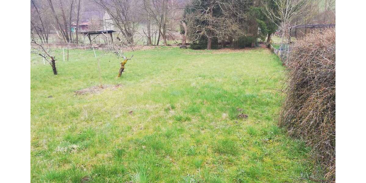 Grundstück Ginsweiler - 29.000&euro; | Angebot:25713693