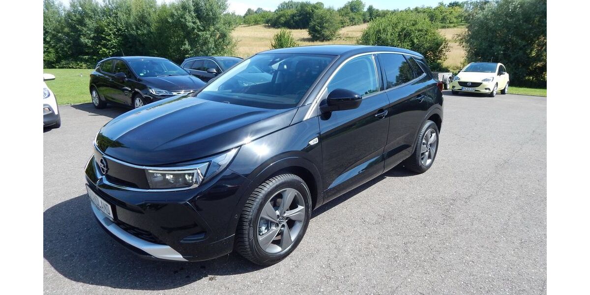 Opel Grandland (X) 13.800 km 24.990 &euro; Bermatingen 88697