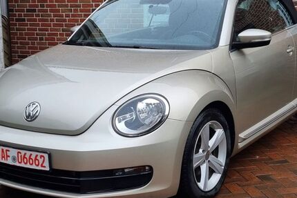 VW Beetle 33.600 km 12.999 &euro; Ostbevern 48346